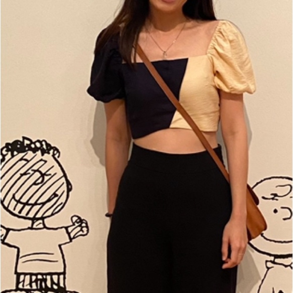 Finders Keepers Puff Sleeve Colorblock Crop Top